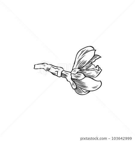 Almond tree flower, monochrome sketch vector illustration isolated on white background. 103642999