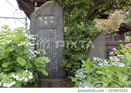 阿佛家古蹟(神奈川縣鎌倉市極樂寺三丁目) 阿佛家古蹟(神奈川縣鎌倉市極樂寺三丁目) 103643201