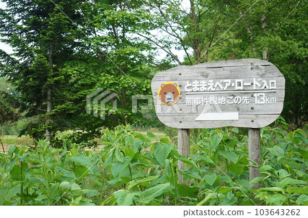 北海道苫前町 103643262