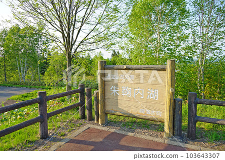 Horokanai-cho, Hokkaido Lake Shumarinai Fresh green Lake Shumarinai Horokanai-cho, Hokkaido Lake Shumarinai Fresh green Lake Shumarinai 103643307