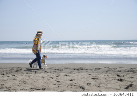 Dog and owner walking on the beach 103643411