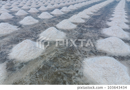 Sea salt farm. Pile of brine salt. Raw material of salt industrial. Sodium Chloride mineral. Evaporation and crystallization of sea water. White salt harvesting. Agriculture industry. Traditional farm Sea salt farm. Pile of brine salt. Raw material of salt industrial. Sodium Chloride mineral. Evaporation and crystallization of sea water. White salt harvesting. Agriculture industry. Traditional farm 103643434