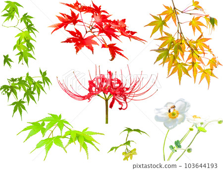摳圖素材組-秋花秋葉 103644193