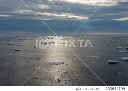 Arctic landscape - sea surface with ice floe Arctic landscape - sea surface with ice floe 103644199