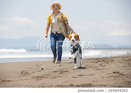 一個帶著衝浪板的女人和一隻穿著皮疹衛衣的狗 一個帶著衝浪板的女人和一隻穿著皮疹衛衣的狗 103644205