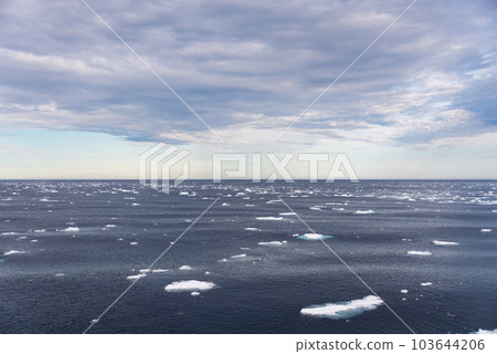 Arctic landscape - sea surface with ice floe Arctic landscape - sea surface with ice floe 103644206