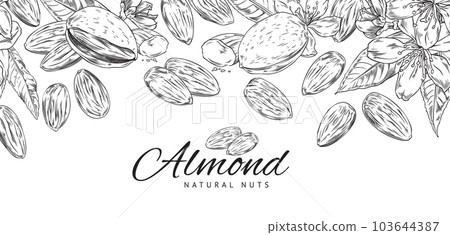 Hand drawn monochrome border with almonds sketch style 103644387