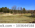 landscape with meadow, forest and blue sky in early spring, lower austria, waldviertel 103644588