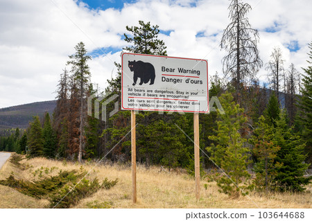 Alberta, Canada - May 11 2021 : Bear warning sign in Jasper National Park. Alberta, Canada - May 11 2021 : Bear warning sign in Jasper National Park. 103644688