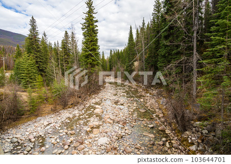 Maligne River in summer. Jasper National Park. Alberta, Canada. 103644701