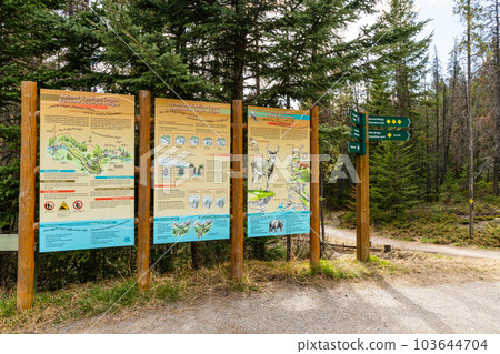 Alberta, Canada - May 11 2021 : Indicator of Maligne Canyon. Jasper National Park. Alberta, Canada - May 11 2021 : Indicator of Maligne Canyon. Jasper National Park. 103644704