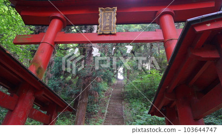 Fujibu Shrine torii gate Fujibu Shrine torii gate 103644747