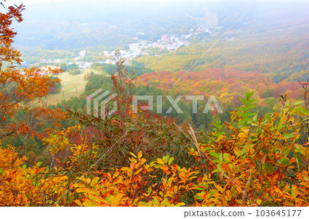 藏王溫泉街藏王紅葉 藏王溫泉街藏王紅葉 103645177