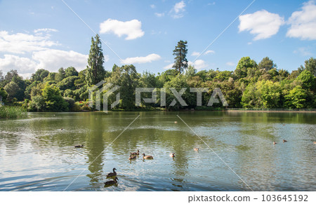 Tranquility view of Waikato river passing through Hamilton, New Zealand. The Waikato River is the longest river in New Zealand (425 kilometres). 103645192