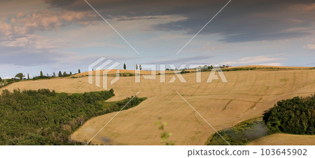 Crete Senesi, siena, tuscany, italy Crete Senesi, siena, tuscany, italy 103645902