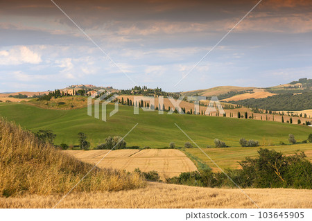 Crete Senesi, siena, tuscany, italy Crete Senesi, siena, tuscany, italy 103645905