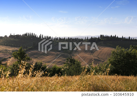 Crete Senesi, siena, tuscany, italy Crete Senesi, siena, tuscany, italy 103645910