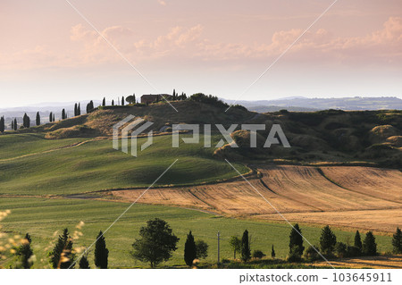Crete Senesi, siena, tuscany, italy Crete Senesi, siena, tuscany, italy 103645911