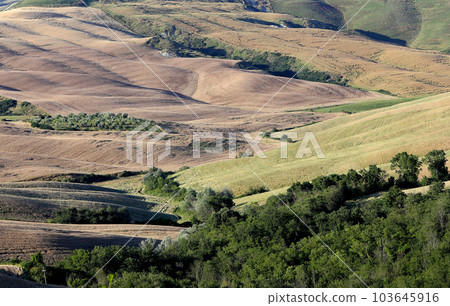 Crete Senesi, siena, tuscany, italy Crete Senesi, siena, tuscany, italy 103645916
