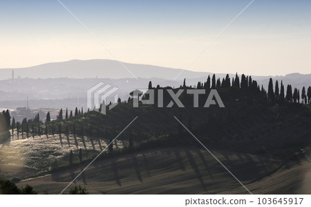 Crete Senesi, siena, tuscany, italy Crete Senesi, siena, tuscany, italy 103645917