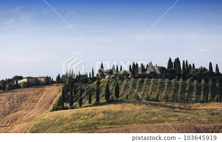 Crete Senesi, siena, tuscany, italy Crete Senesi, siena, tuscany, italy 103645919