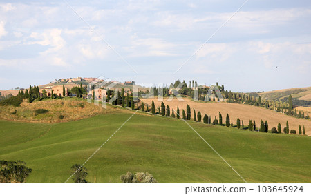 Crete Senesi, siena, tuscany, italy Crete Senesi, siena, tuscany, italy 103645924