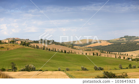 Crete Senesi, siena, tuscany, italy Crete Senesi, siena, tuscany, italy 103645925