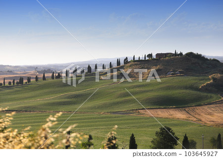 Crete Senesi, siena, tuscany, italy Crete Senesi, siena, tuscany, italy 103645927