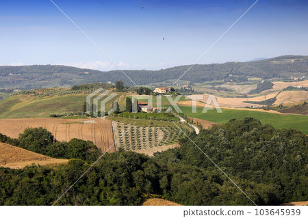 Crete Senesi, siena, tuscany, italy Crete Senesi, siena, tuscany, italy 103645939