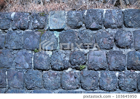 使用 karami 磚的生野銀山區的石牆 使用 karami 磚的生野銀山區的石牆 103645950