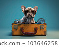 Fun french bulldog puppy dog with sunglasses sitting in a suitcase. Generative ai image 103646258