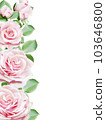 light pink roses blooming border frame 103646800