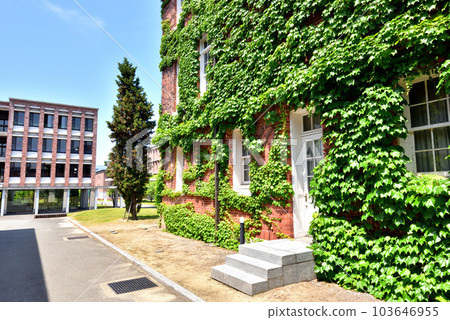 Seinan Gakuin University Seinan University Campus 6 Nishijin, Sawara-ku, Fukuoka City 103646955