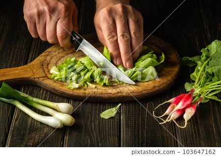 Make lettuce and radish salad at home cutting with a knife by the hands of a chef 103647162