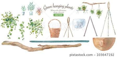 藤本植物和吊籃的水彩插圖。協調植物和園藝用品。向量 103647192