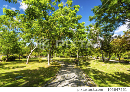 Beautiful view of Aozihdi Forest Park in Kaohsiung, Taiwan, It is one of the famous attractions in Kaohsiung. 103647261