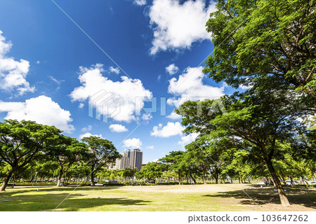 Beautiful view of Aozihdi Forest Park in Kaohsiung, Taiwan, It is one of the famous attractions in Kaohsiung. 103647262