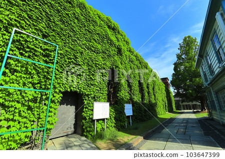 [Okayama Prefecture] Sunny Kurashiki Bikan Historical Quarter (Kurashiki Ivy Square) 103647399