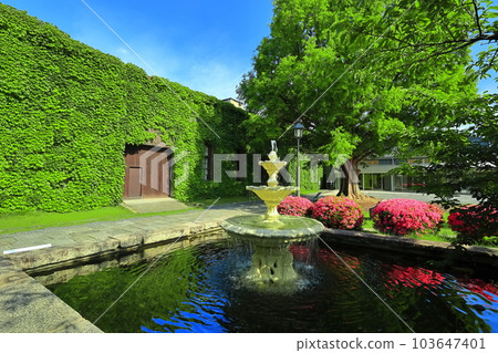 [Okayama Prefecture] Sunny Kurashiki Bikan Historical Quarter (Kurashiki Ivy Square) 103647401