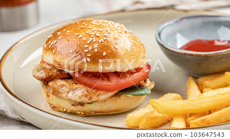 Portion of burger with french fries Portion of burger with french fries 103647543