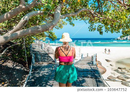 Travel on a tropical island, visit Koh Nang Yuan 103647752