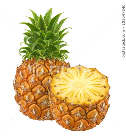 Pineapple isolated on white background, full depth of field 103647840