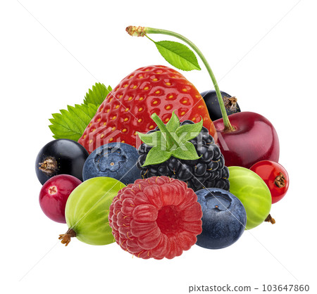Mix of berries isolated on white background. Full depth of field 103647860