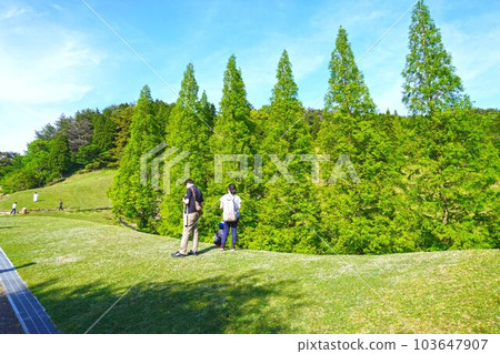 Tourist attractions  103647907