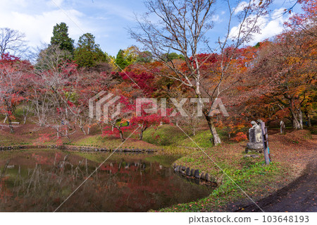 Yujaku Kouen,一個在秋天紅葉中閃耀的公園``大分縣豐後大野市'' Yujaku Kouen,一個在秋天紅葉中閃耀的公園``大分縣豐後大野市'' 103648193