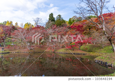 Yujakukouen Park reflecting autumn leaves A view of the autumn leaves reflected in the pond ``Bungo-Ono City, Oita Prefecture'' 103648194
