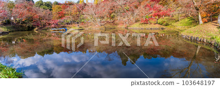 楓葉公園 楓葉公園 103648197