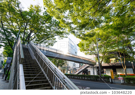 表參道神宮前人行天橋（東京都澀谷區） 103648220