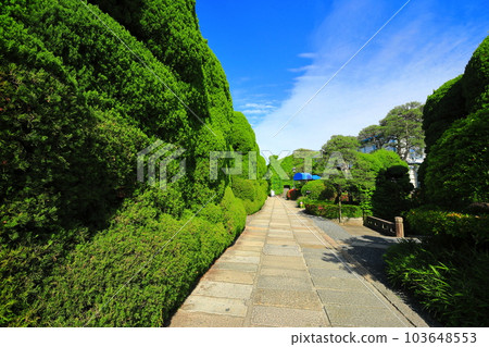 [Okayama Prefecture] Sunny Kurashiki Bikan Historical Quarter (Kurashiki Ivy Square) 103648553