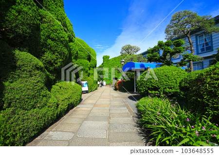 [Okayama Prefecture] Sunny Kurashiki Bikan Historical Quarter (Kurashiki Ivy Square) 103648555